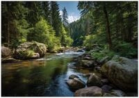 Wallarena Fototapete Wald Fluss - Mehrfarbig - Modern - Vlies - Schlafzimmer,...