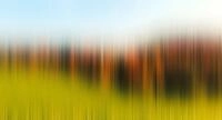 Architects Paper Fototapete Atelier 47 Diffused Tree Row 2, glatt, abstrakt, (5...