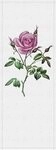 living walls Fototapete Walls by Patel Spring Panels 2, glatt, (1 St), Vlies,...