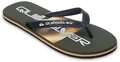 Quiksilver Molokai Stripe Sandale