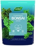 Westland Pflanzerde Westland Bonsai Erde torffrei 4 L, Torffrei