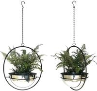 DanDiBo Blumenampel 2er Set Blumenh&auml;nger Innen Metall Wand H&auml;ngepflanzen 78 cm
