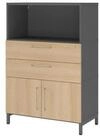 HAMMERBACHER Aktenschrank Kombischrank FlexWall 3OH Sockel graphit/eiche