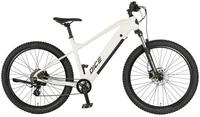 Prophete E-Bike Mountainbike Dice 1.8, 8 Gang Shimano Altus Schaltwerk,
