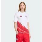 adidas Performance T-Shirt FC BAYERN M&Uuml;NCHEN ANTHEM GRAFIK T-SHIRT (1-tlg)