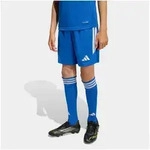 adidas Performance Trainingsshorts TIRO26 LEAGUE KIDS blau 140