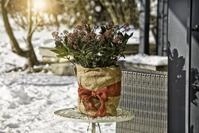 Windhager Wintervlies Windhager Winterschutz f&uuml;r Pflanzen Jute 0,5 x 4 m