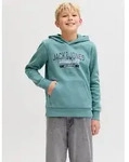 Jack & Jones Junior Kapuzensweatshirt JJELOGO SWEAT HOOD 2 COL AW25 NOOS JNR...