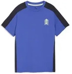 PUMA T-Shirt Active Sports Graphic T-Shirt Jungen blau 176 EU