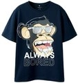 Name It T-Shirt NKMFADDY BOD SS NREG TOP BOX SKY