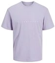 Jack & Jones Junior T-Shirt JJESTAR (1-tlg)