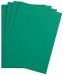 CLAIREFONTAINE Fotopapier Maya Bastelkarton A3 185g 25 Bogen - Tannengr&uuml;n...