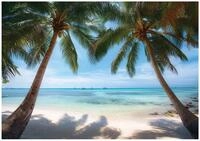 Wallarena Fototapete Palmen Strand - Mehrfarbig - Modern - Vlies - Schlafzimmer,
