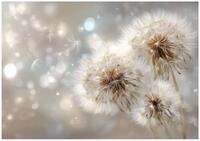 Wallarena Fototapete Pusteblume Blumen - Mehrfarbig - Modern - Vlies -...