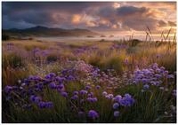 Wallarena Fototapete Landschaft Blumen - Mehrfarbig - Elegant - Vlies -...
