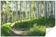 Wallarena Fototapete Wald Vlies, 7-teilig, Wohnzimmer, glatt, (3 St), 150x105cm bunt