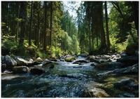 Wallarena Fototapete Fluss - Mehrfarbig - Modern - Vlies - Schlafzimmer, glatt,...