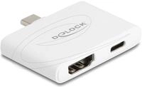 Delock Adapter