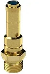 RIEGLER R&uuml;ckschlagventil Riegler Sicherheitsventil DN 8, Messing, G 1/4,
