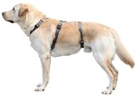 Kerbl Hunde-Sicherheitsgeschirr Panikgeschirr Miami 48 cm - 70 cm Brustumfang grau