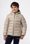 Champion Steppjacke SPORTWEAR JACKET Standard Fit mit verstellbarer Kapuze,