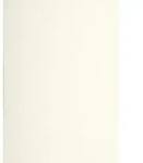 G.Lalo Geschenkpapier 5x Packung 20 Bl DIN A4, 120g, Paille/Strohpapier Elfenbein