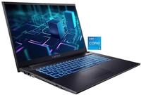 CAPTIVA Business/Office I10-0865GE Business-Notebook (43,9 cm/17,3 Zoll, Intel Core