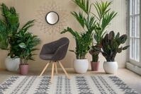 Kayoom Polsterstuhl Stuhl Chadwick 110 2er-Set, stilvolles Design, in Naturfarben