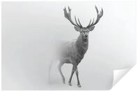 Wallarena Fototapete Hirsch Tiere - Mehrfarbig - Modern - Vlies - Wohnzimmer,...