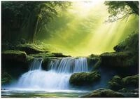 Wallarena Fototapete Wasserfall Wald - Mehrfarbig - Modern - Vlies -...