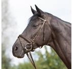 Kieffer Trensenzaum Trensenzaum Ultrasoft braun - Warmblut, Leder