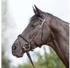 Kieffer Trensenzaum Trensenzaum Ultrasoft schwarz - Warmblut, Leder