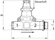 RIEGLER R&uuml;ckschlagventil Riegler Pneum.entsperrb.R&uuml;ckschlagventil Schl.-Gew.,...
