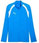 PUMA Fleecepullover Puma Herren Trainingsjacke teamFINAL26 Training Jacket 659682