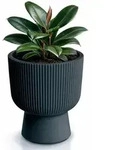 Prosperplast Blumentopf Milly Round, ink. Pflanzeinsatz, 29,8 x 36,5 cm grau &Oslash;...