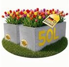 ONDIS24 Pflanzk&uuml;bel Ondis24 Blumenk&uuml;bel Vulkano, 50L Blumenkasten (2 St), mit
