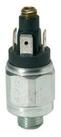 RIEGLER Filterpumpen Riegler Druckschalter, Wechselkontakt, Stahl ver., 42 V, G...