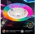 Briloner Leuchten LED Deckenleuchte Deckenventilator mit Licht dimmbar...
