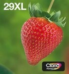 Epson Original Epson 29XL Multipack (C13T29964012) Tintenpatrone