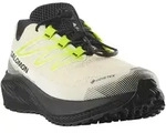 Salomon AERO FLOW GRVL GORE-TEX Laufschuh wasserdicht gelb 44 EU