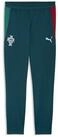 PUMA Sporthose Portugal Slim Trainingshose Herren