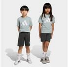 adidas Sportswear Trainingsanzug ESSENTIALS KIDS -SET (2-tlg), f&uuml;r Kinder,