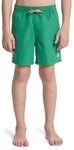 Quiksilver Badeshorts Everyday Volley 14"