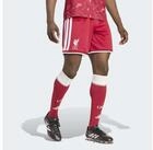 adidas Performance Shorts FC LIVERPOOL 26/27 HEIMSHORTS (1-tlg)