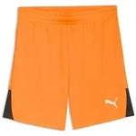 PUMA Trainingsshorts Puma Kinder Short teamLIGA26 Shorts 706555 orange 140