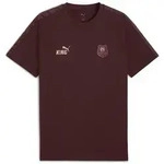 PUMA T-Shirt Stade Rennais FC KING T-Shirt Herren lila S (44/46)