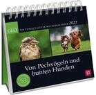 groh Verlag Schreibtischkalender Postkartenkalender 2027: Von Pechv&ouml;geln und...