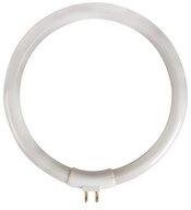 Velleman Spezialleuchtmittel Runde Leuchtstoffr&ouml;hre 12 W/T4 f&uuml;r VTLAMP10, 1...
