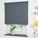 Seitenzugrollo Uni, Liedeco, verdunkelnd, mit Bohren, verschraubt grau 162 cm x...