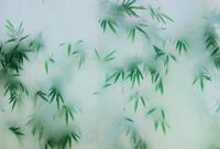 living walls Fototapete Walls by Patel Panda`s Paradise, glatt, Vlies, Wand